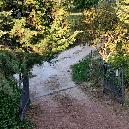 Il Rusticano Кьянни Экстерьер фото
