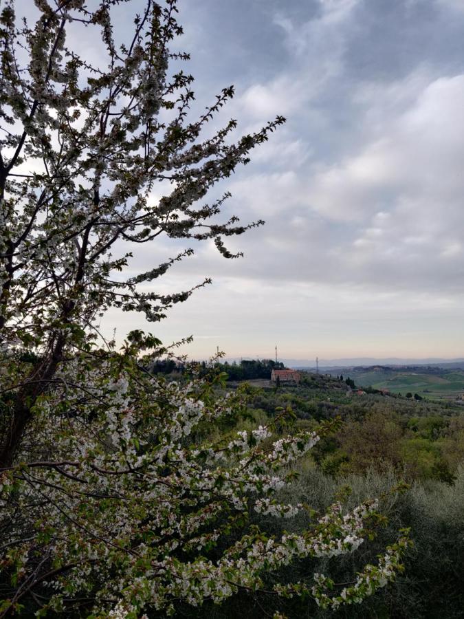 Il Rusticano Кьянни Экстерьер фото